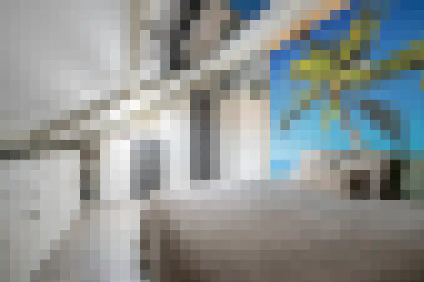 Speenkruid 50 Purmerend thumbnail 23