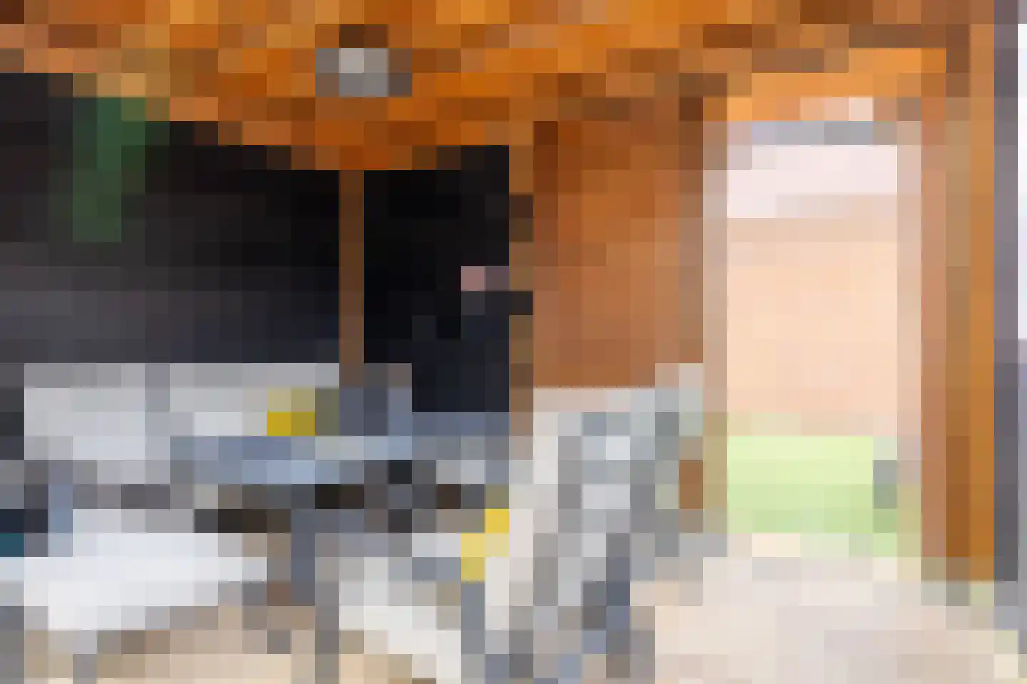 Speenkruid 50 Purmerend thumbnail 38