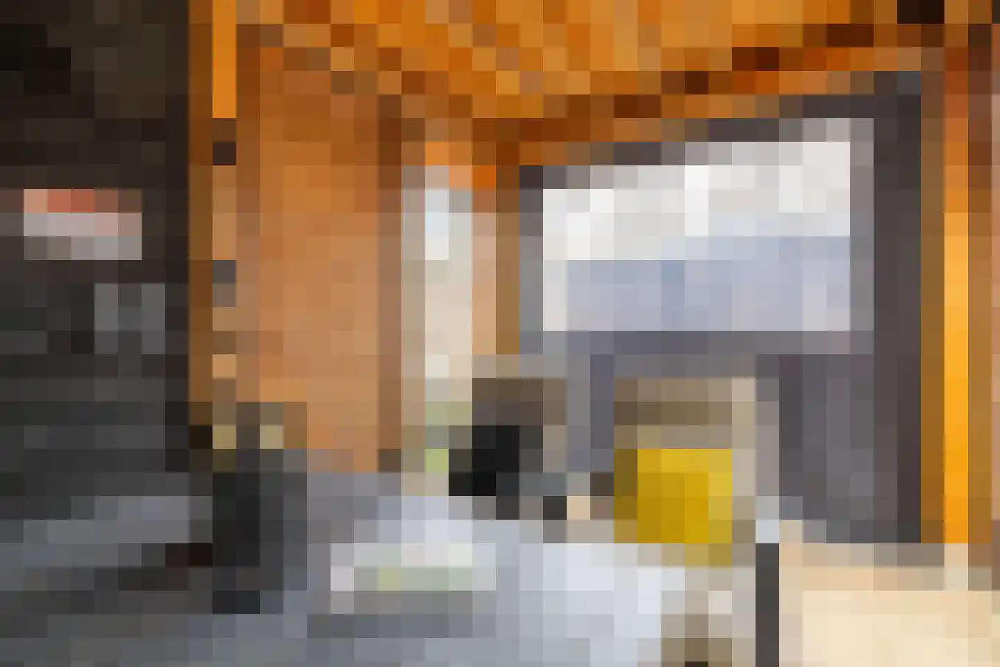 Speenkruid 50 Purmerend thumbnail 39