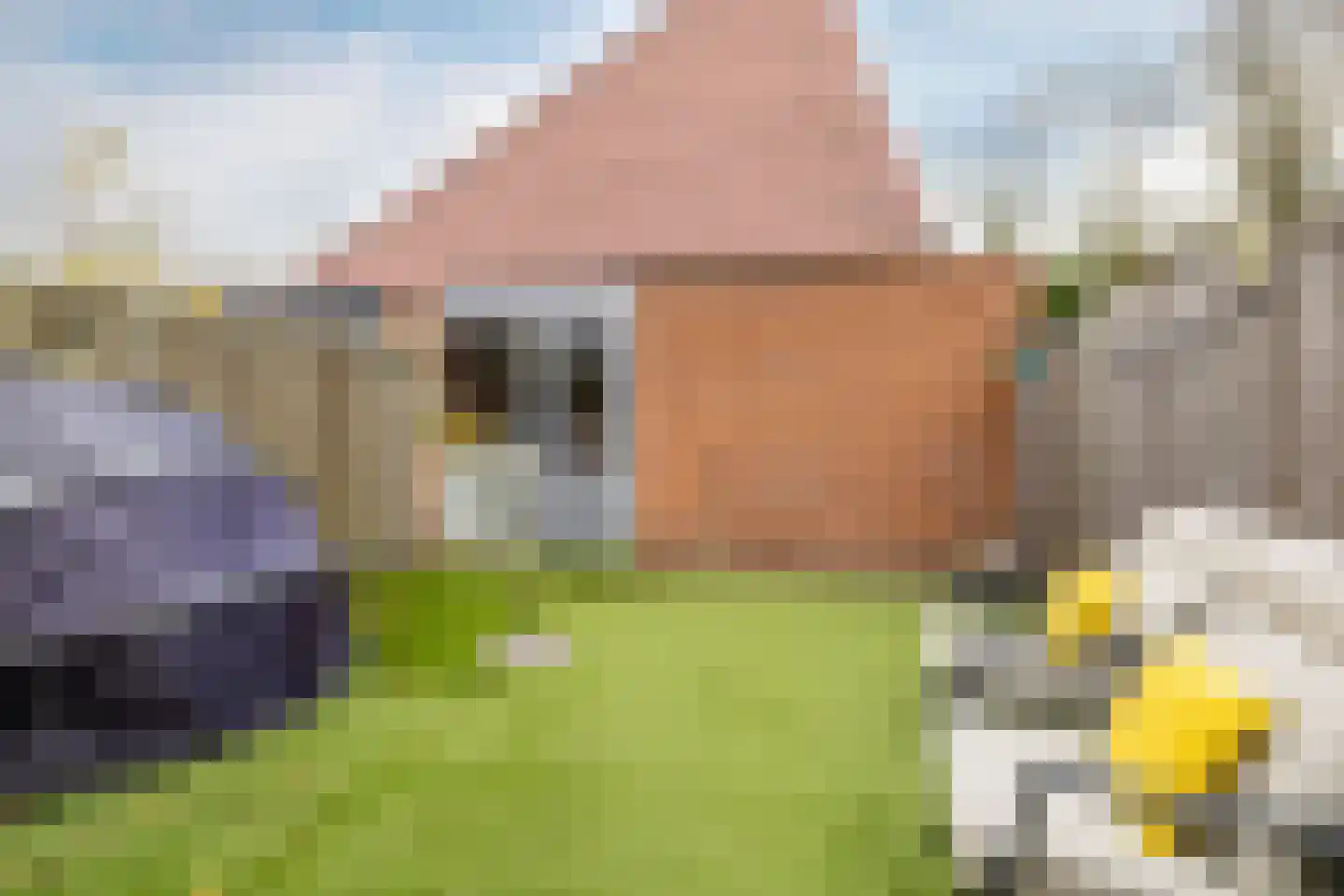 Speenkruid 50 Purmerend thumbnail 41