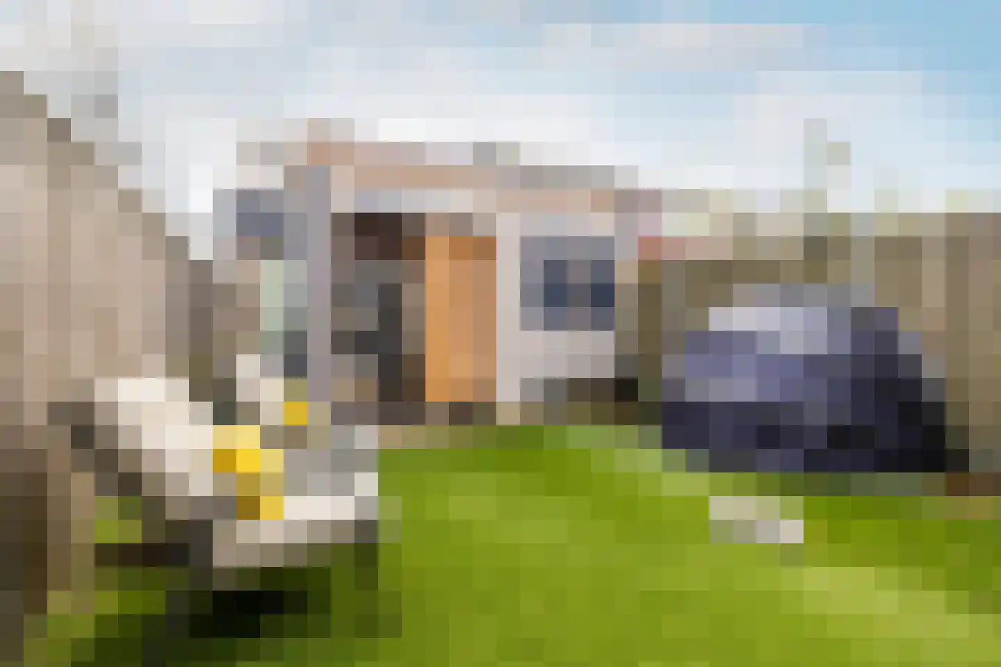 Speenkruid 50 Purmerend thumbnail 43