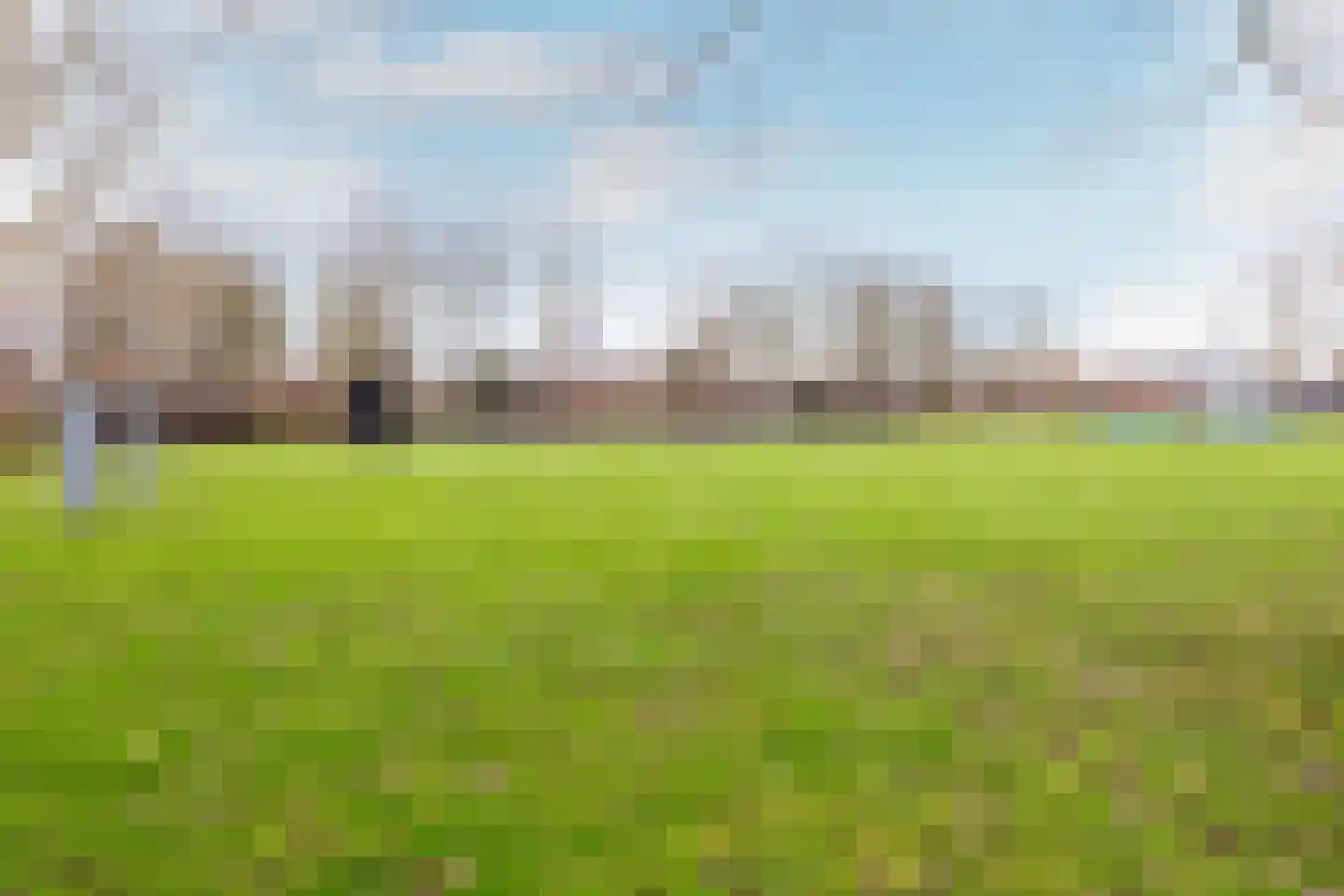 Speenkruid 50 Purmerend thumbnail 48