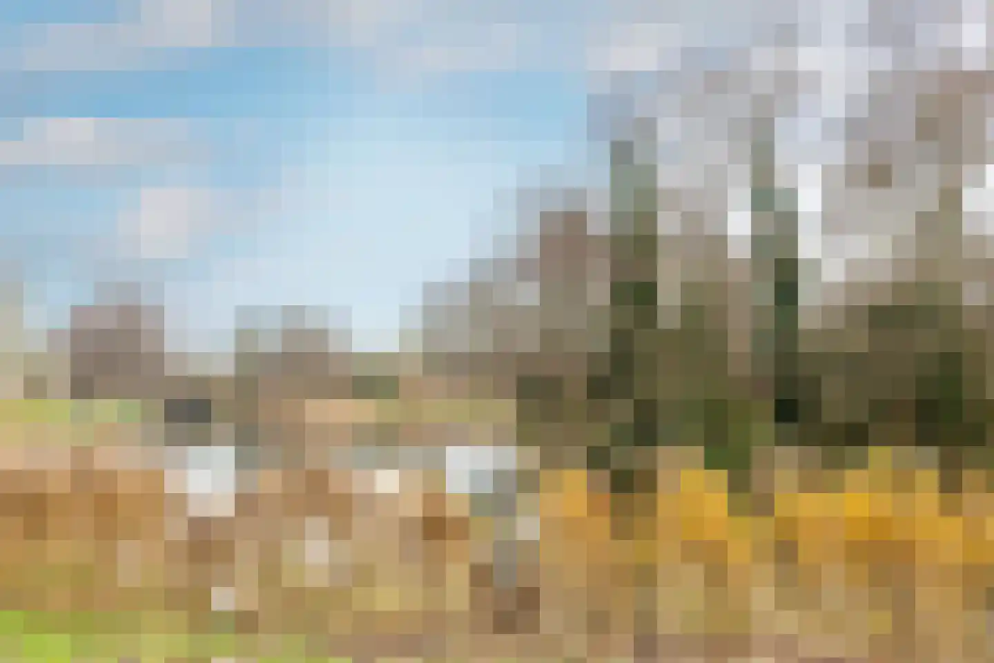 Speenkruid 50 Purmerend thumbnail 50