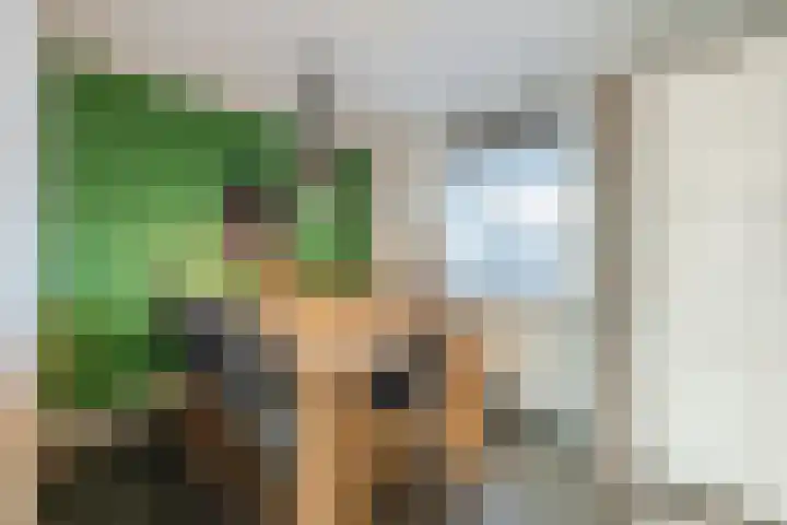 Speenkruid 51 Asten thumbnail 11