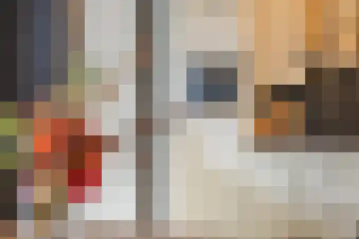 Speenkruid 51 Asten thumbnail 15