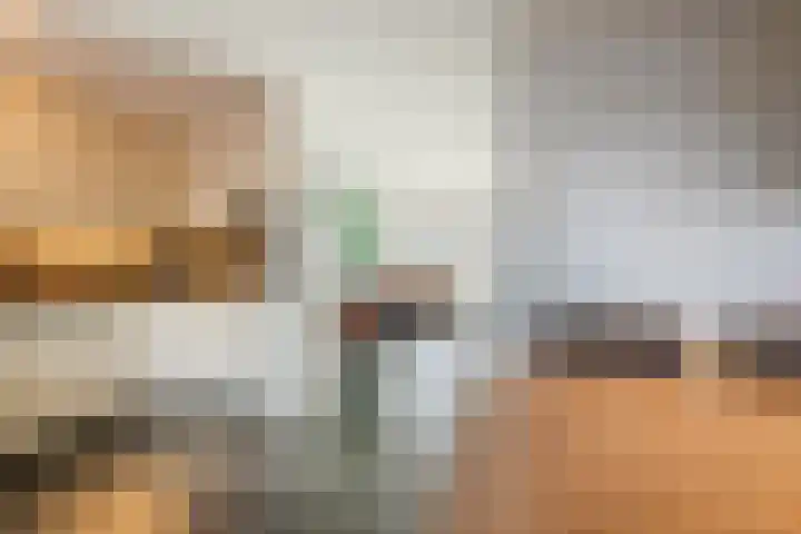 Speenkruid 51 Asten thumbnail 16
