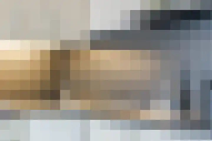 Speenkruid 51 Asten thumbnail 18