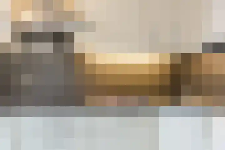 Speenkruid 51 Asten thumbnail 19