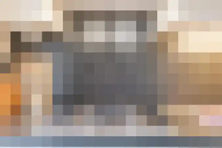 Speenkruid 51 Asten thumbnail 20