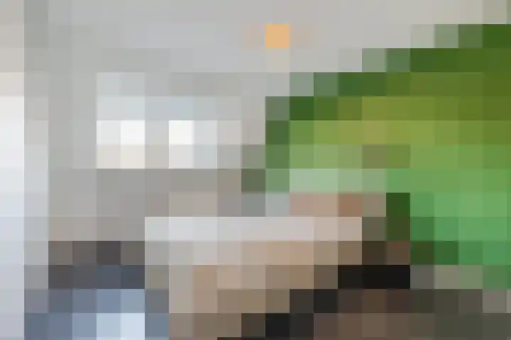 Speenkruid 51 Asten thumbnail 23