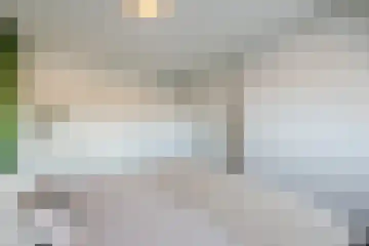 Speenkruid 51 Asten thumbnail 24