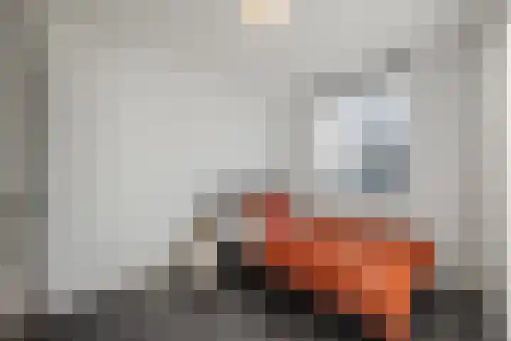 Speenkruid 51 Asten thumbnail 25