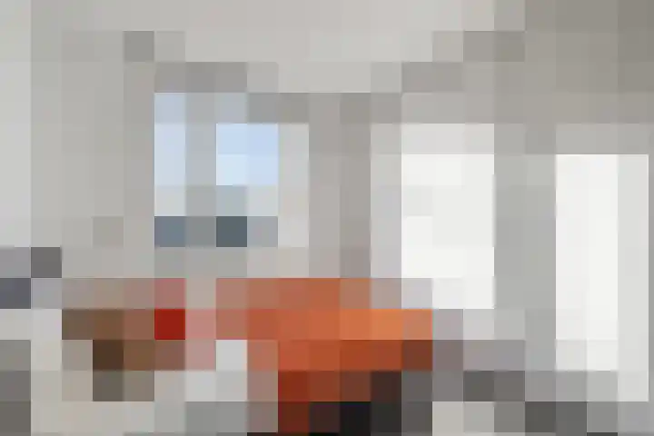 Speenkruid 51 Asten thumbnail 26