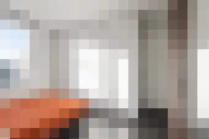 Speenkruid 51 Asten thumbnail 27