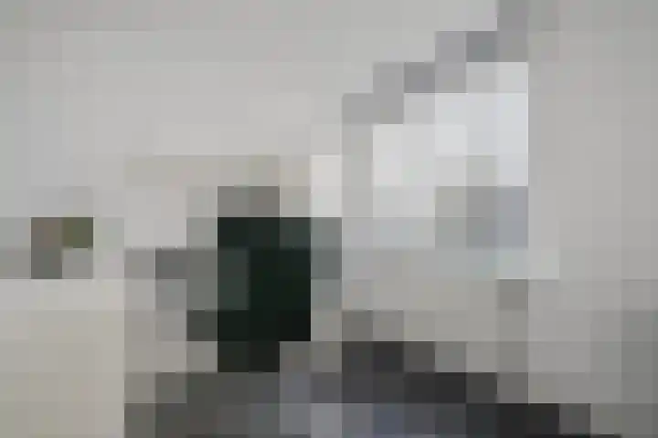 Speenkruid 51 Asten thumbnail 28
