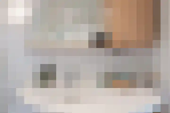 Speenkruid 51 Asten thumbnail 31