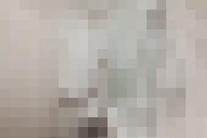 Speenkruid 51 Asten thumbnail 32