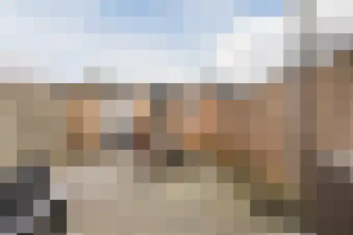 Speenkruid 51 Asten thumbnail 39