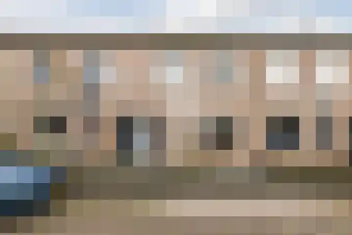 Speenkruid 51 Asten thumbnail 44