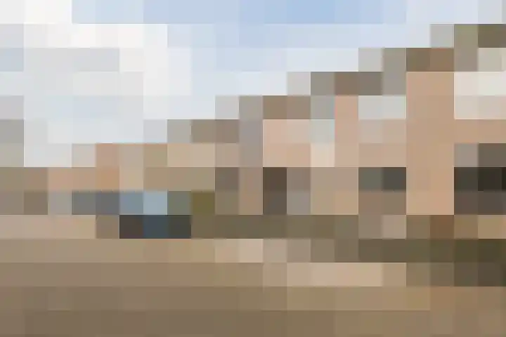 Speenkruid 51 Asten thumbnail 45