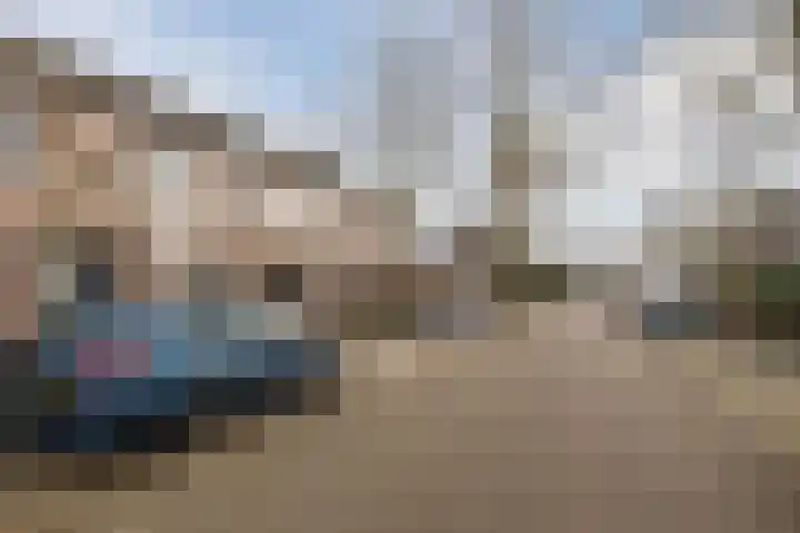 Speenkruid 51 Asten thumbnail 46