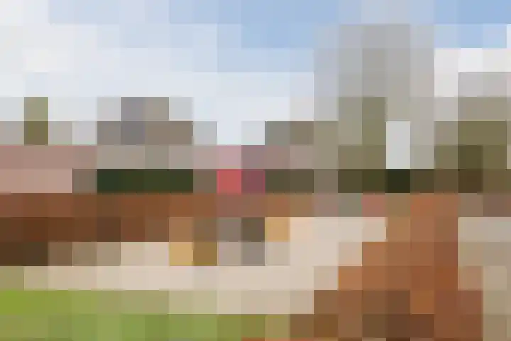 Speenkruid 51 Asten thumbnail 47