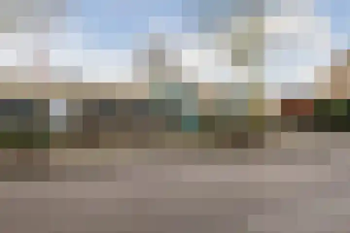 Speenkruid 51 Asten thumbnail 48