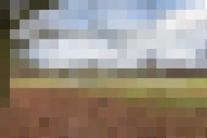 Speenkruid 51 Asten thumbnail 50