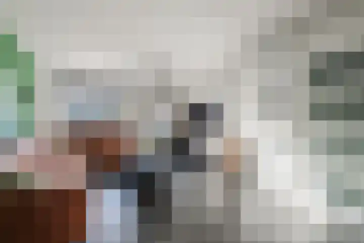 Speenkruid 51 Asten thumbnail 8