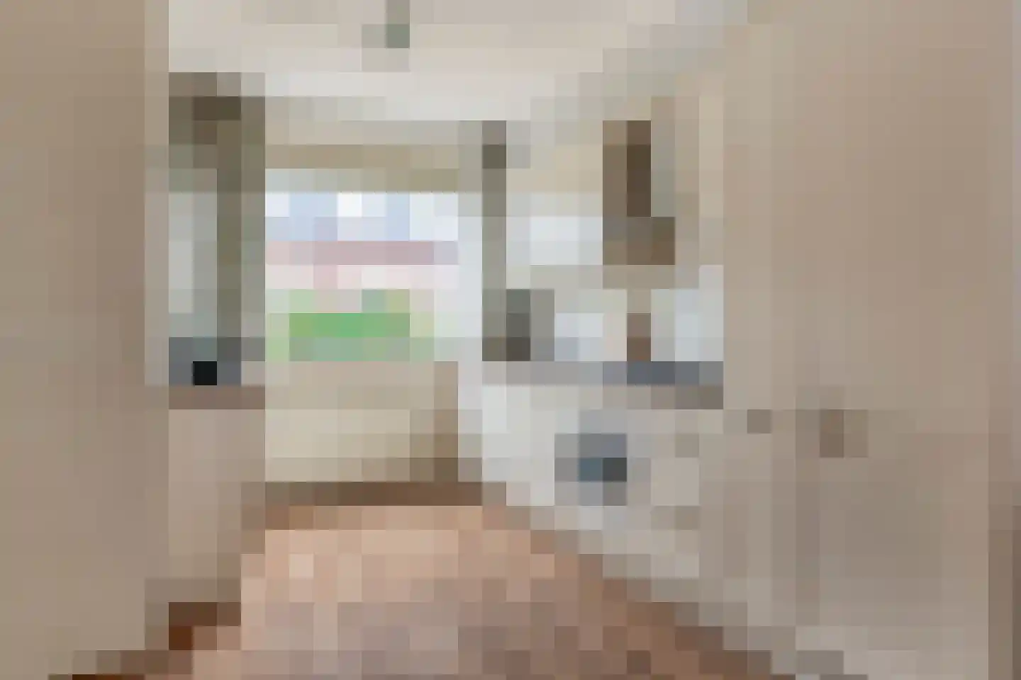 Speenkruid 54 Purmerend thumbnail 11