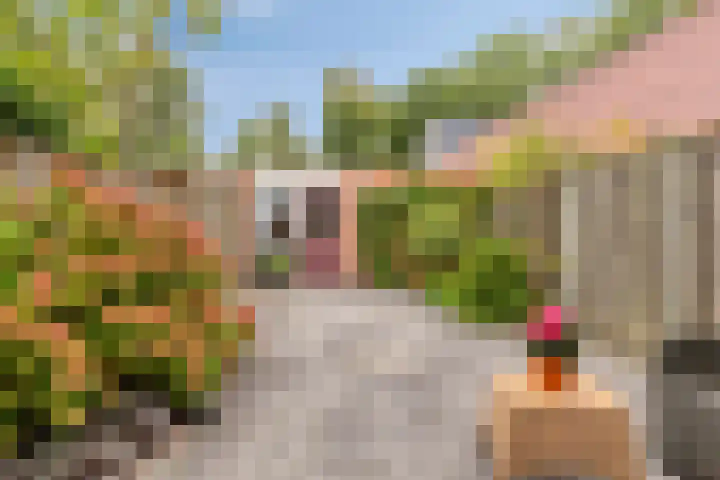 Speenkruid 54 Purmerend thumbnail 23