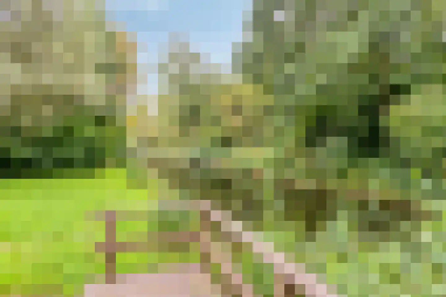 Speenkruid 54 Purmerend thumbnail 28