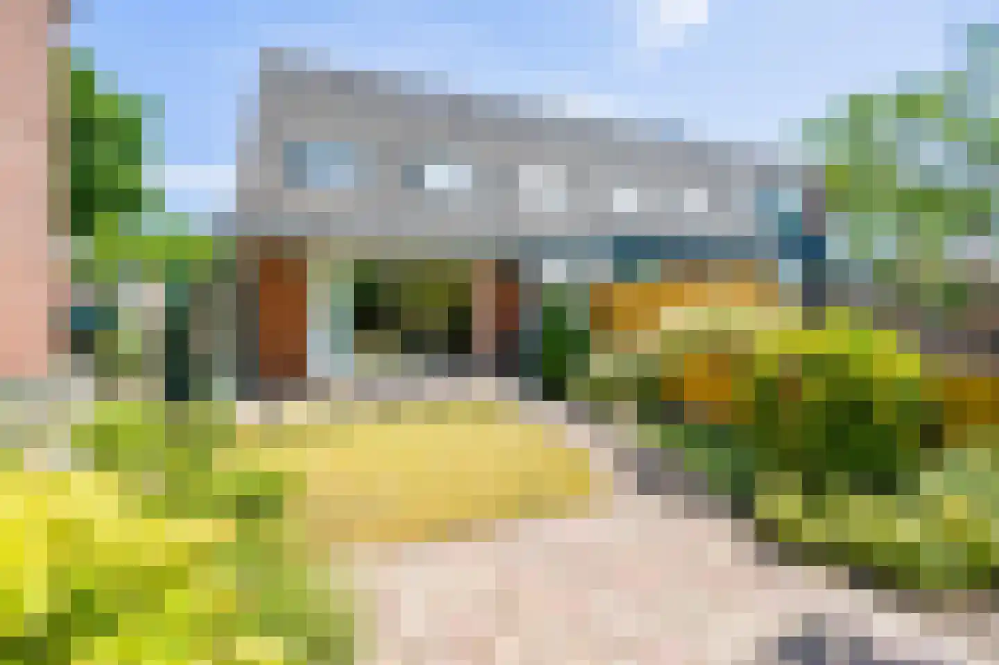 Speenkruid 56 Diemen thumbnail 12