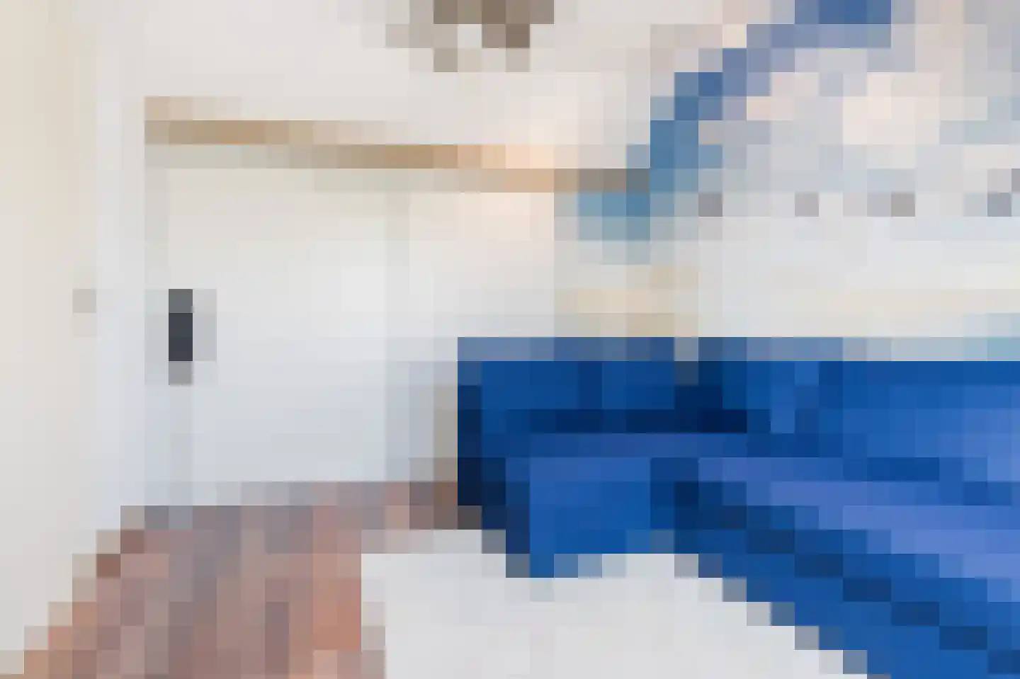Speenkruid 56 Diemen thumbnail 31