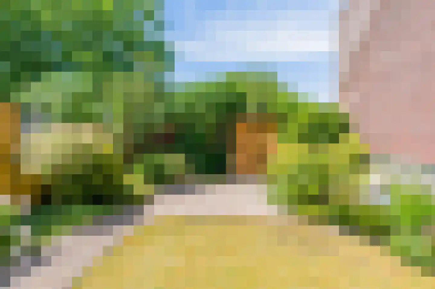 Speenkruid 56 Diemen thumbnail 35