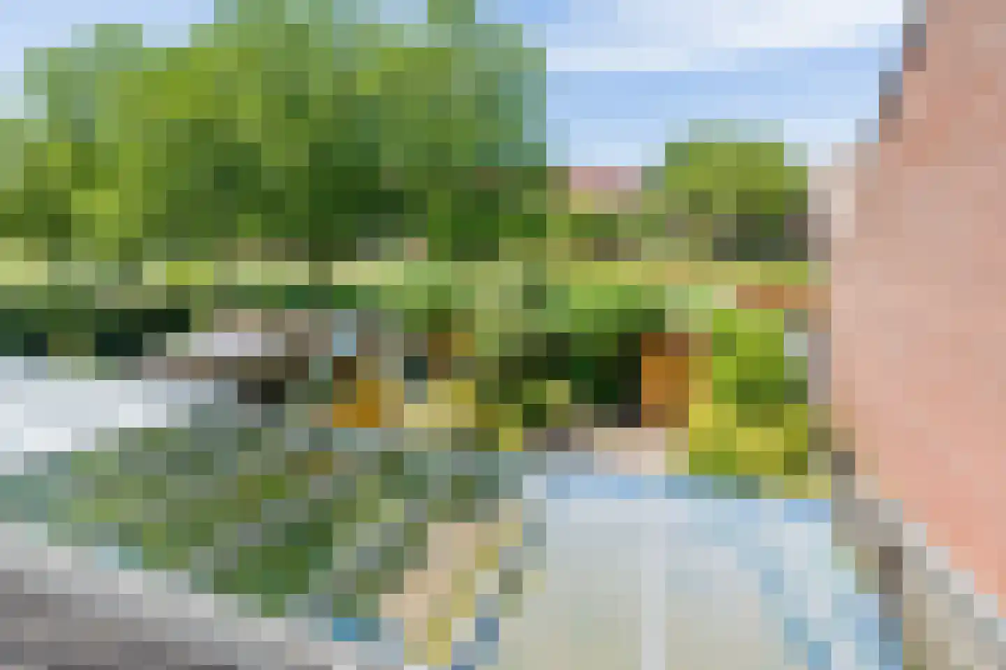 Speenkruid 56 Diemen thumbnail 36