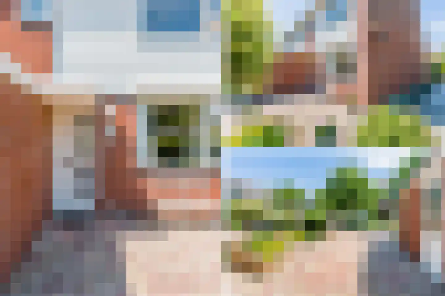 Speenkruid 56 Diemen thumbnail 37
