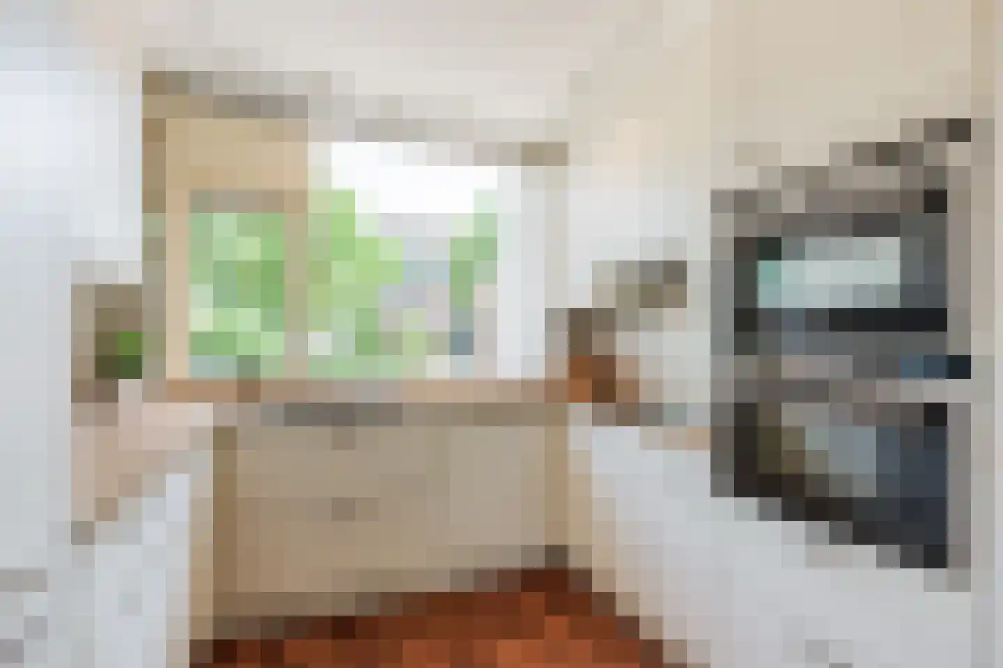 Speenkruid 56 Diemen thumbnail 4