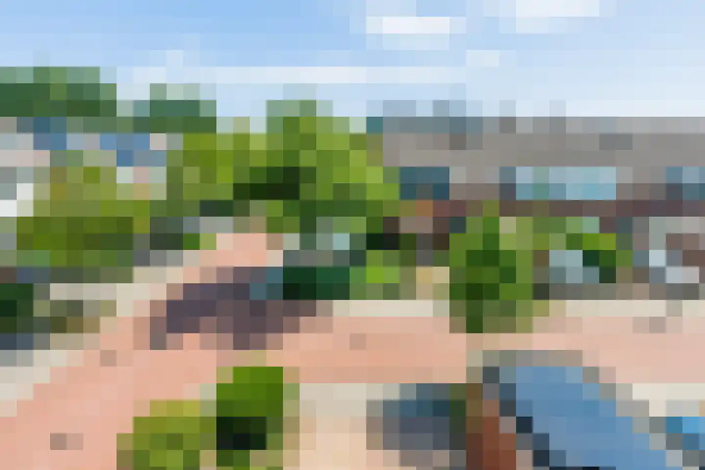 Speenkruid 56 Diemen thumbnail 41