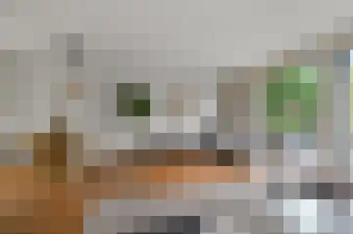 Speenkruid 58 Diemen thumbnail 10