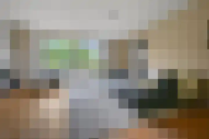 Speenkruid 58 Diemen thumbnail 11