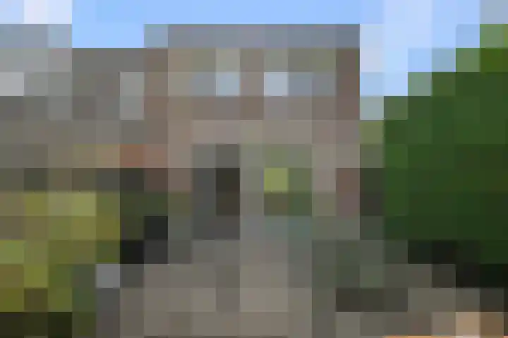 Speenkruid 58 Diemen thumbnail 12
