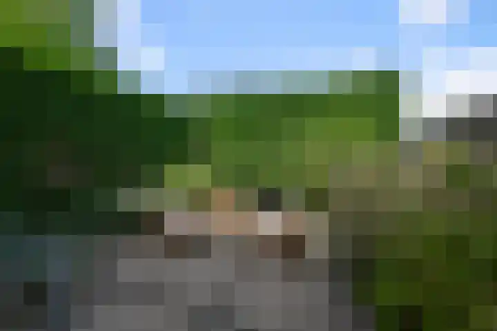 Speenkruid 58 Diemen thumbnail 13