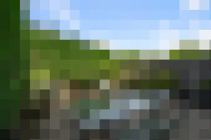 Speenkruid 58 Diemen thumbnail 14