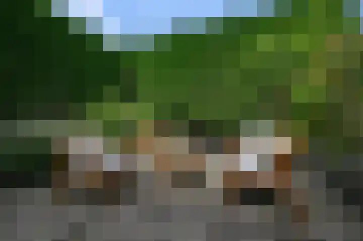 Speenkruid 58 Diemen thumbnail 15