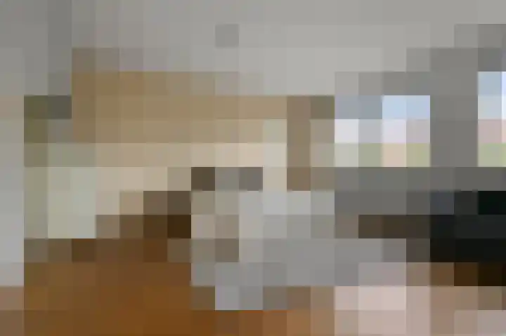Speenkruid 58 Diemen thumbnail 16