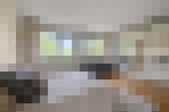 Speenkruid 58 Diemen thumbnail 17