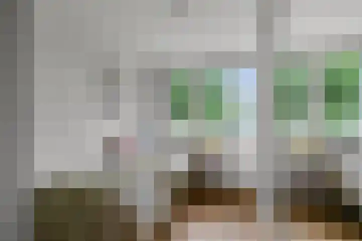 Speenkruid 58 Diemen thumbnail 19
