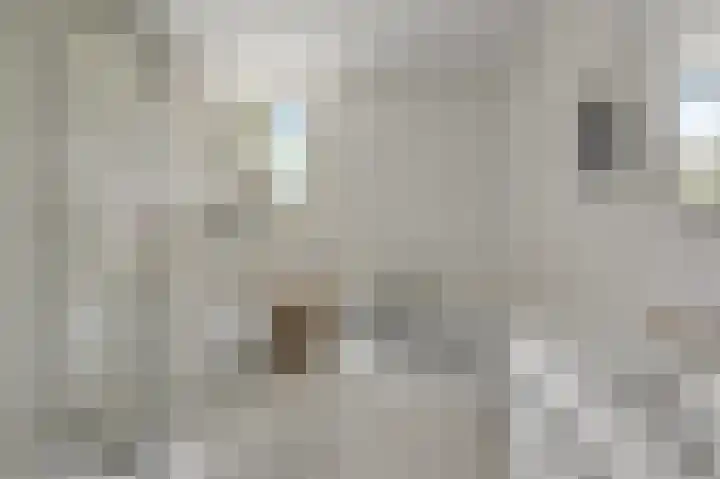 Speenkruid 58 Diemen thumbnail 21