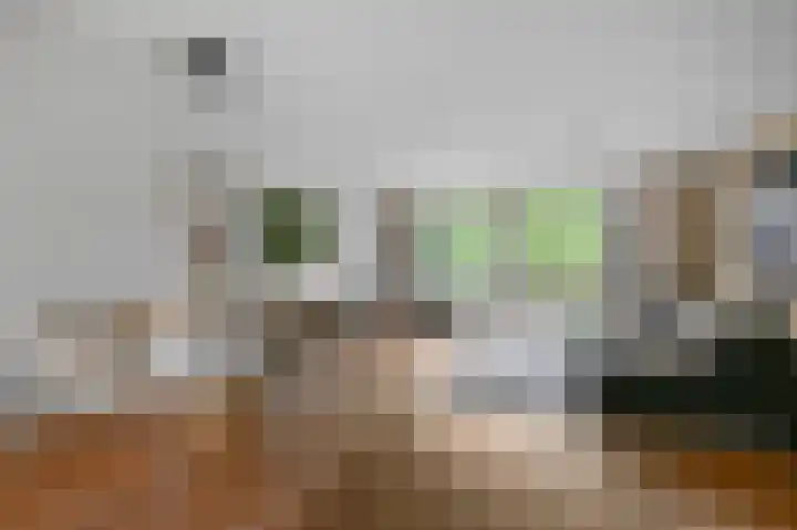 Speenkruid 58 Diemen thumbnail 4